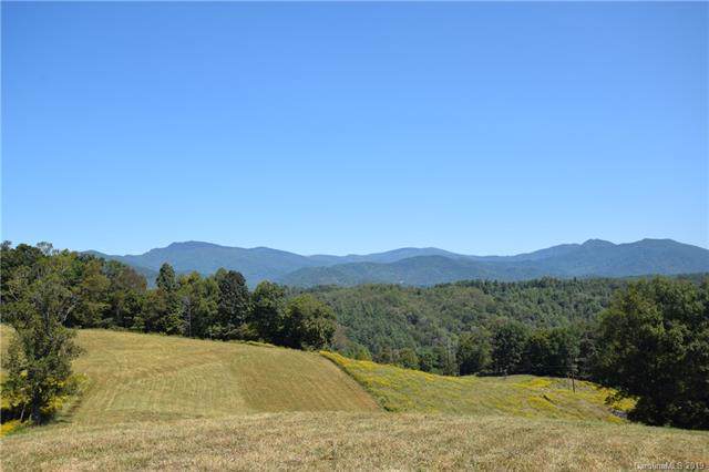 897 Cow Branch Branch - Photo 1