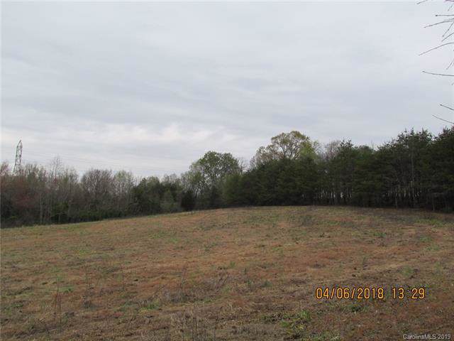 00 Mt Pleasant Church Road - Photo 1