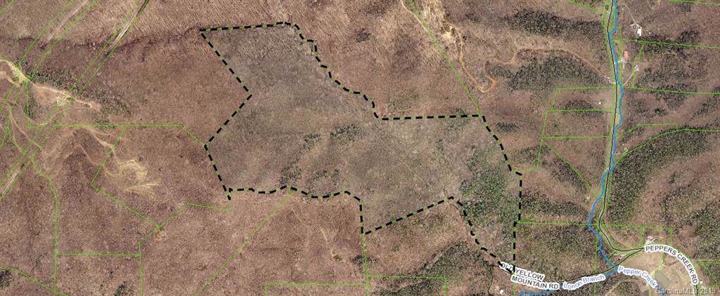 00 Peppers Creek Road - Photo 1