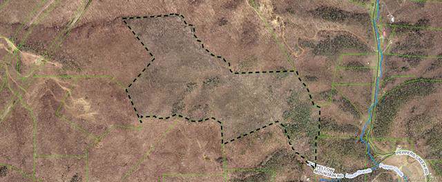 00 Peppers Creek Road - Photo 1