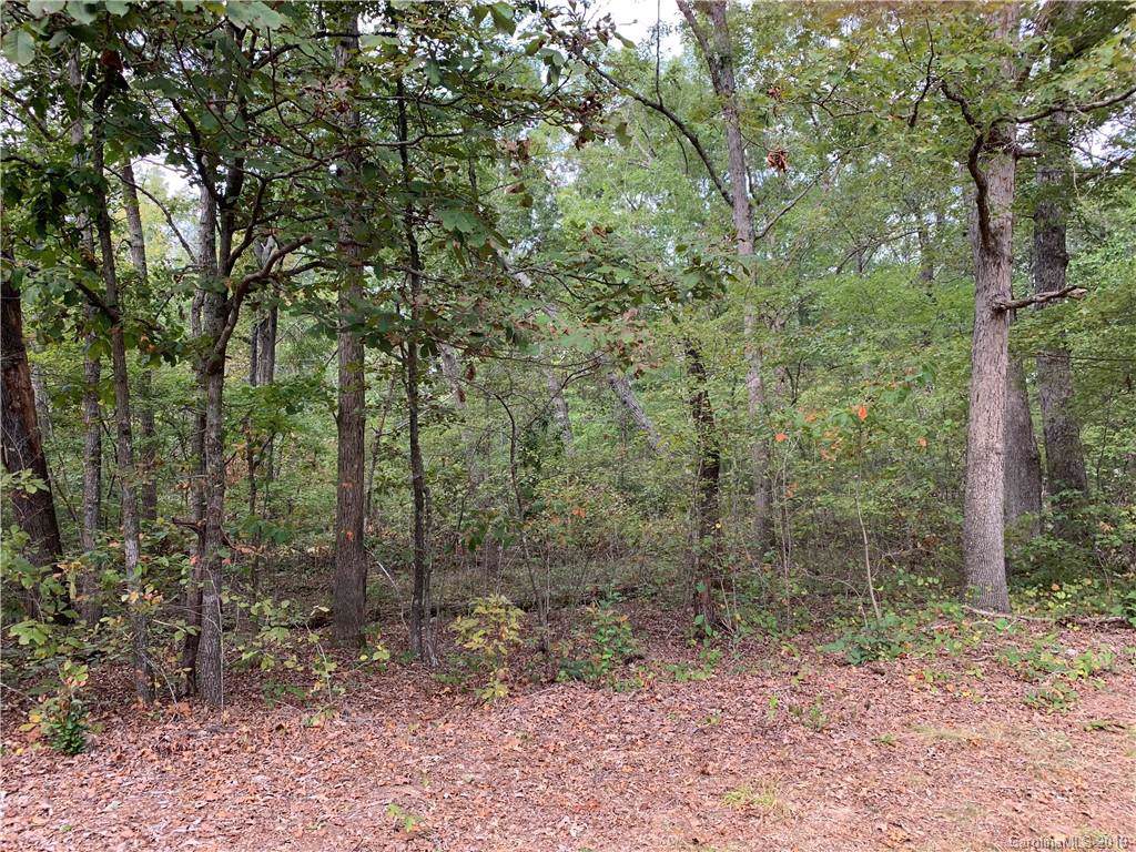 10100 Jim Sossoman Street - Photo 1