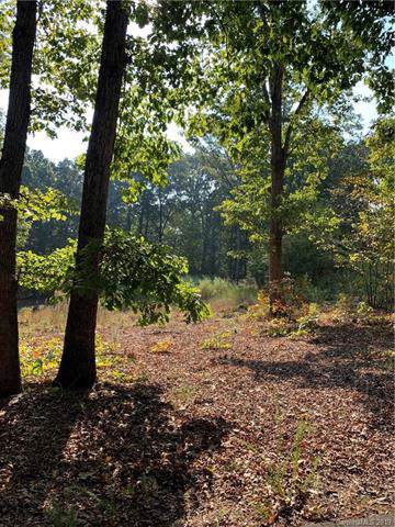 Lot 44 & 45 Acorn Acres Road - Photo 1