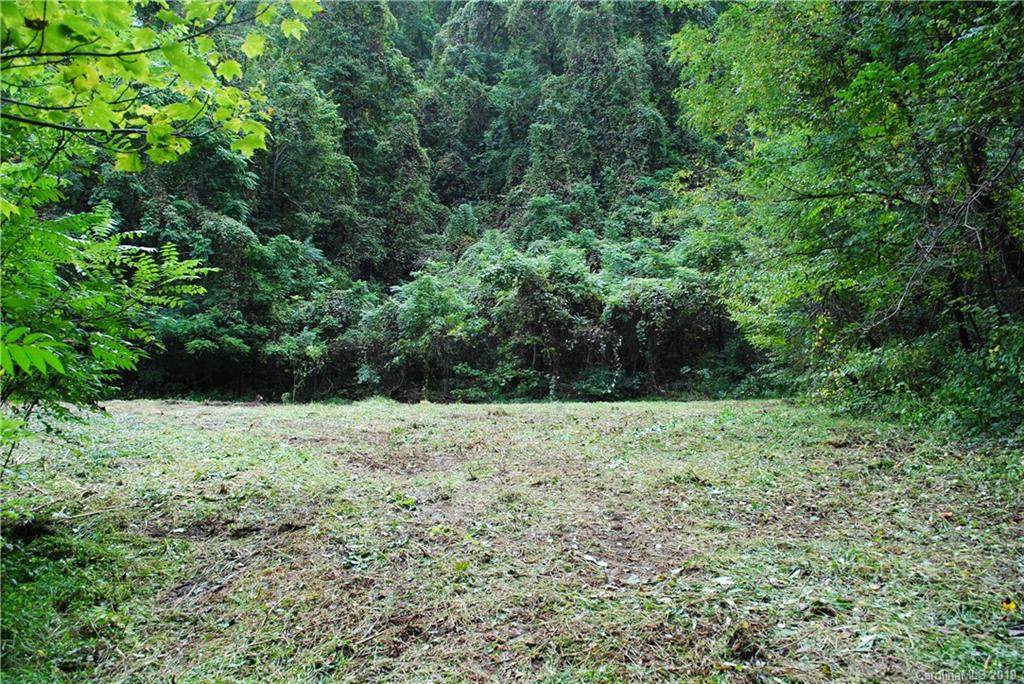 TBD Vine Drive - Photo 1