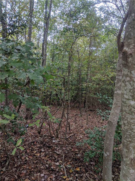 0000 Collettsville Road - Photo 1