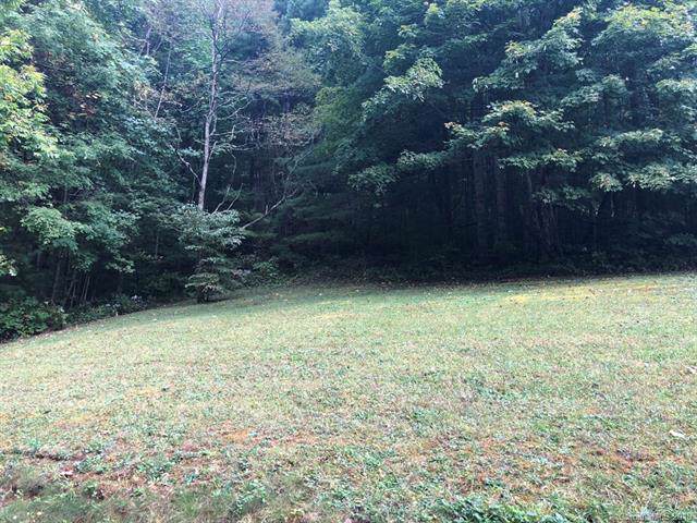 Lot 9 Balsam Meadows Road - Photo 1