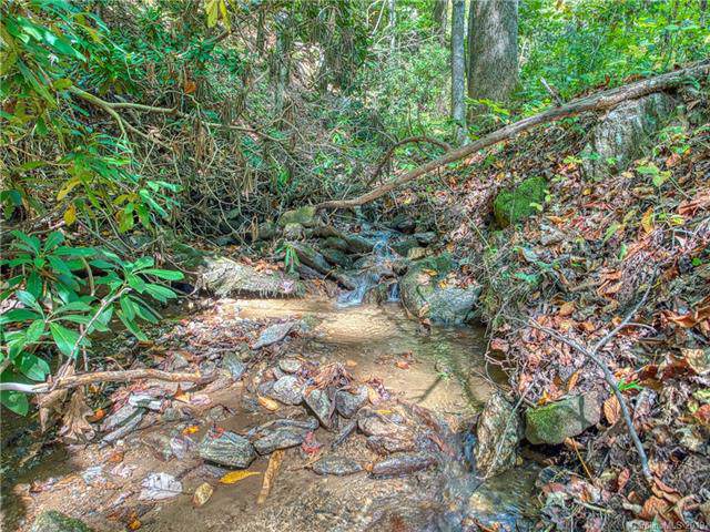 149 Plott Creek Road - Photo 1