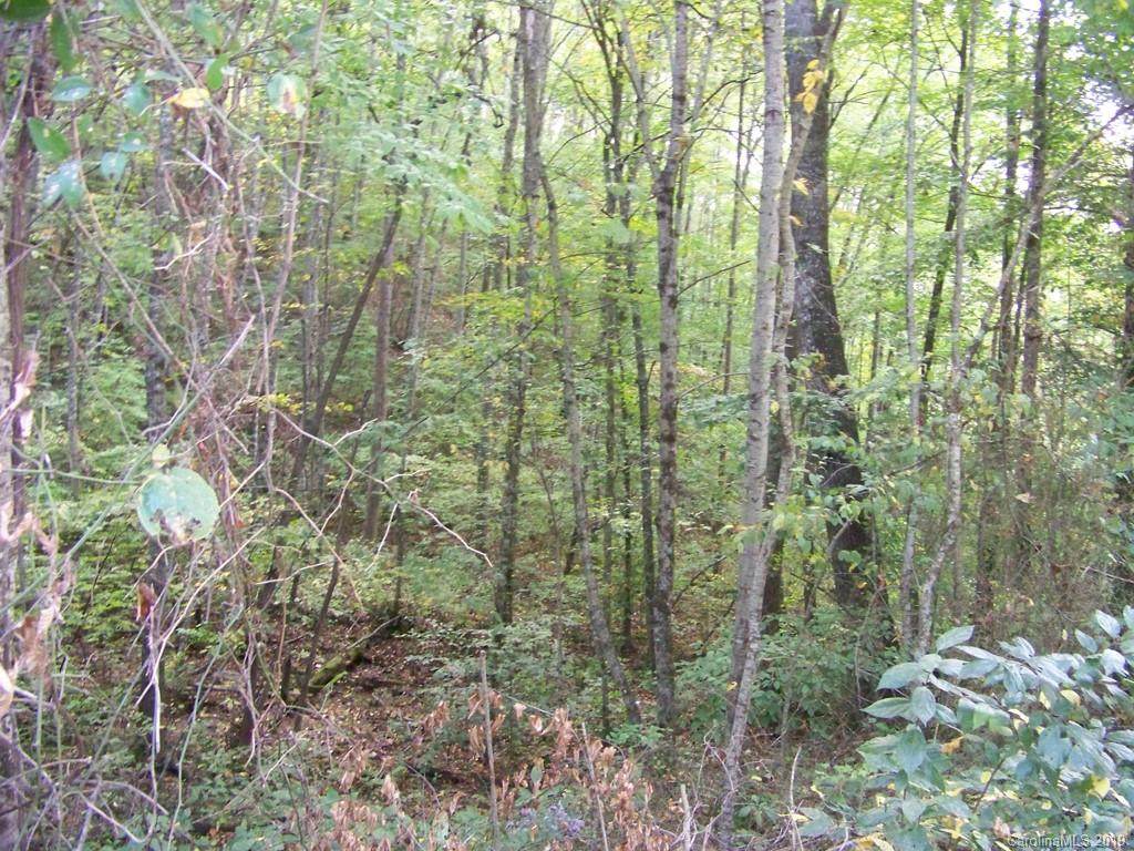 00 Scarlet Ridge - Photo 1