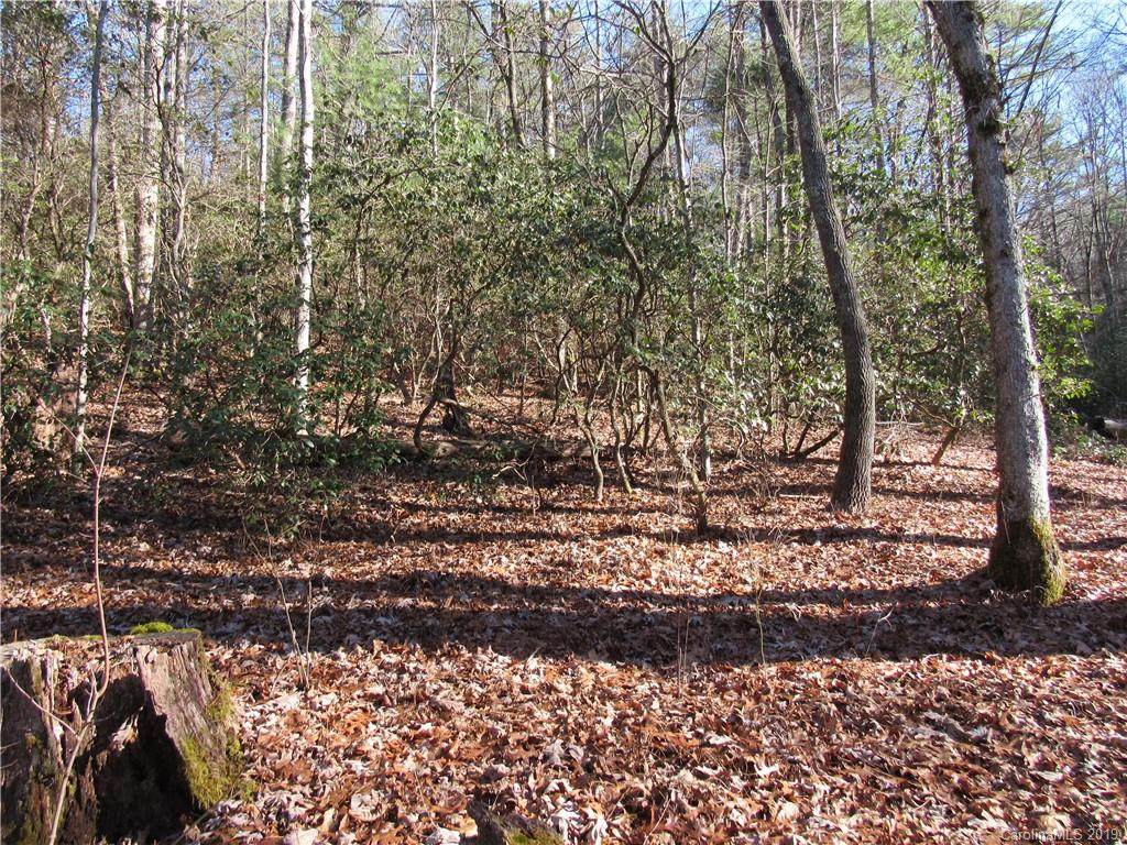 TBD Flat Creek Valley Road - Photo 1