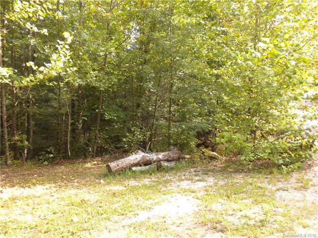 13 Dobsons Knob Loop - Photo 1