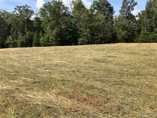 0 Robinson Creek Road - Photo 1
