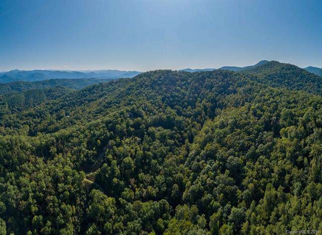 135 Rain Forest Cove - Photo 1