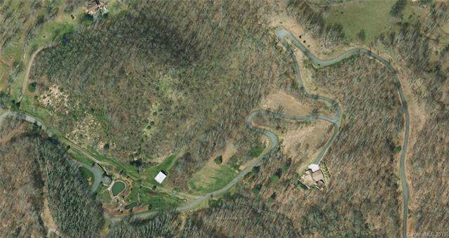 0000 Red Wolf Run - Photo 1