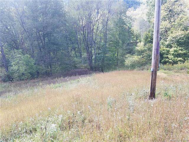 TBD Old Mine Fork Road - Photo 1