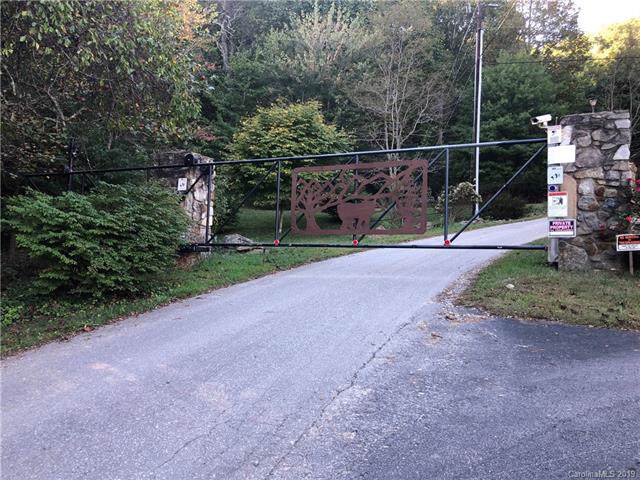 315 & 309 Bear Wallow Trail - Photo 1