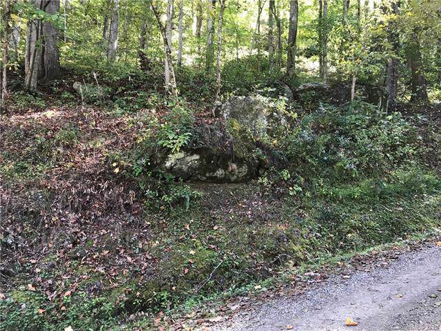 Lot 21 Fall Creek Road - Photo 1