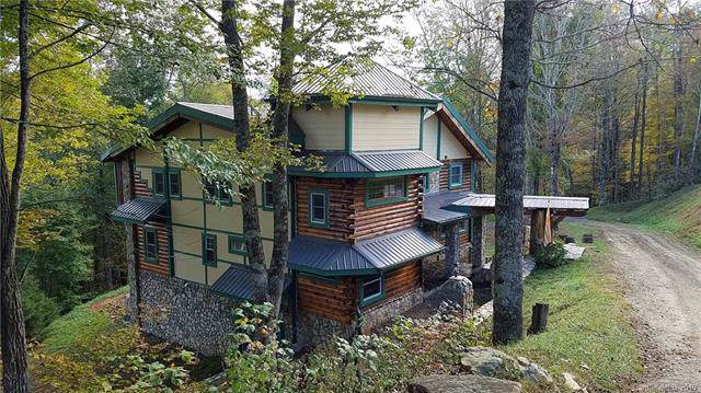 1185 Black Bear Drive - Photo 1