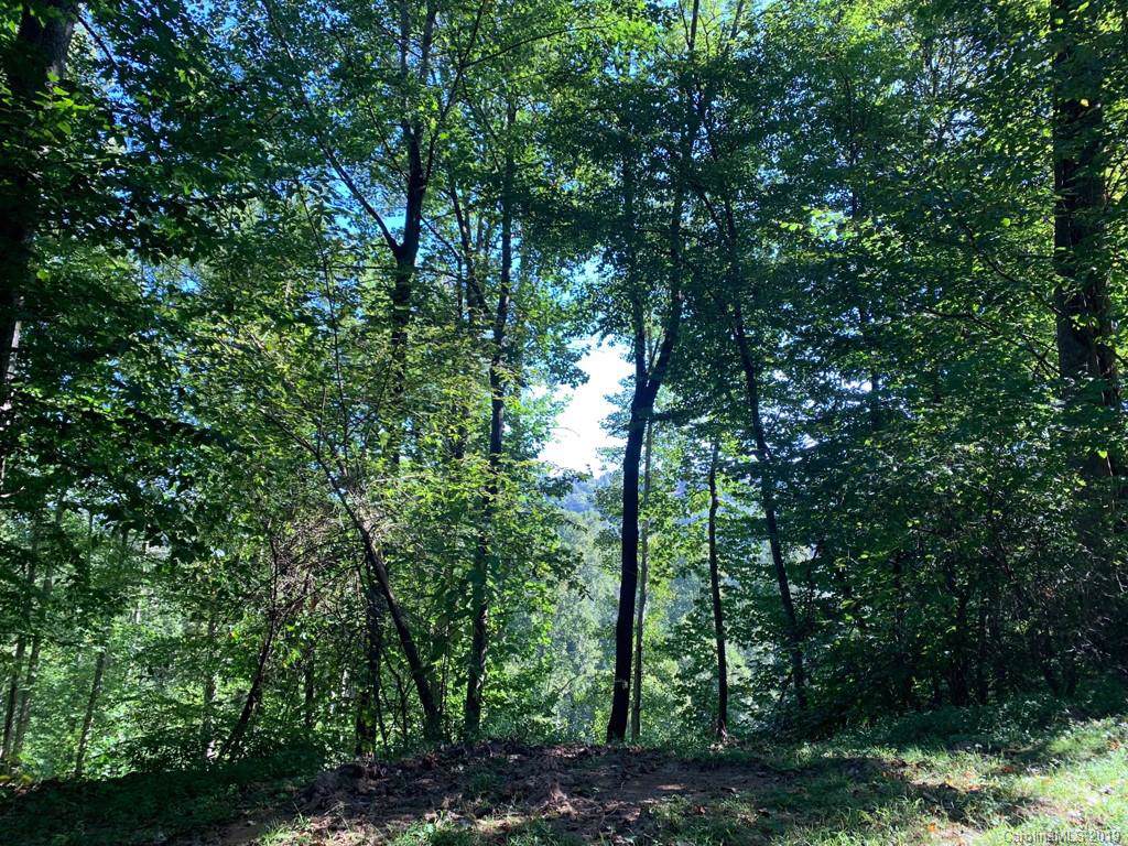 LOT 1 Crestview Drive - Photo 1