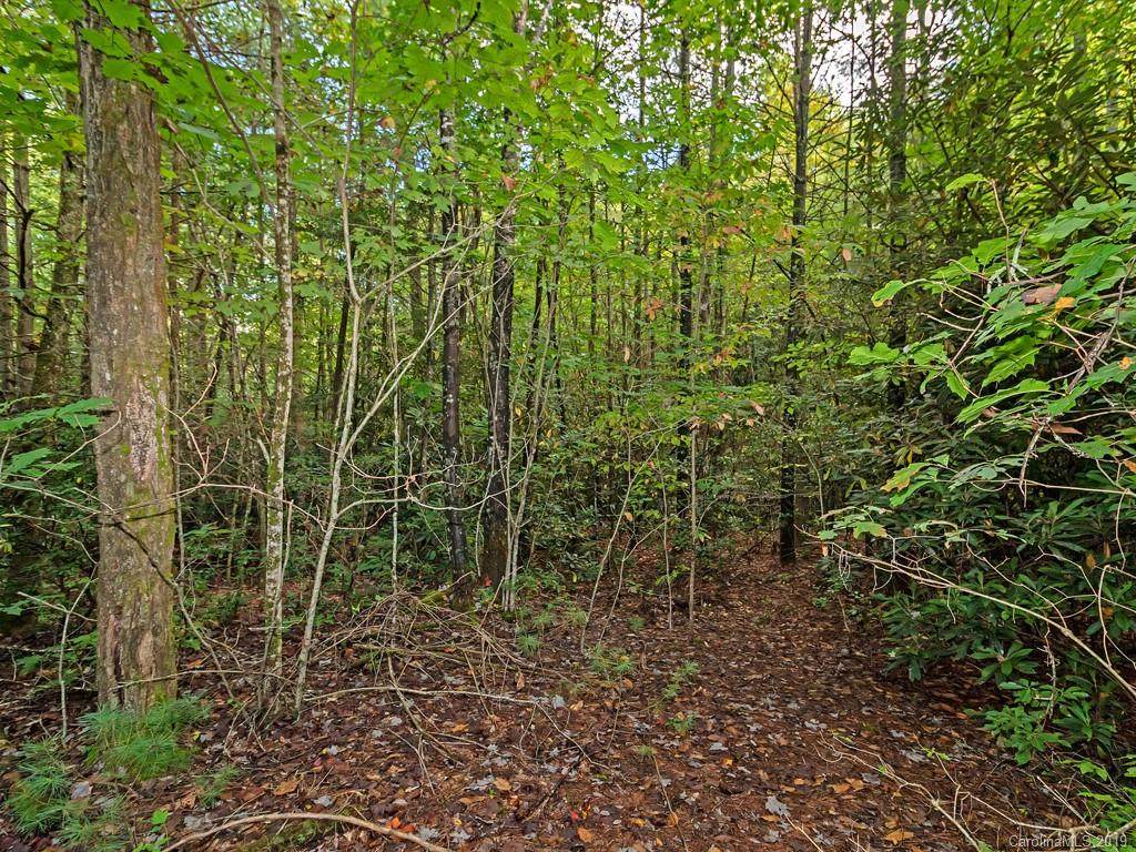 Lt 306 Old Spring Road - Photo 1 Lt 306 Old Spring Road - Photo 1