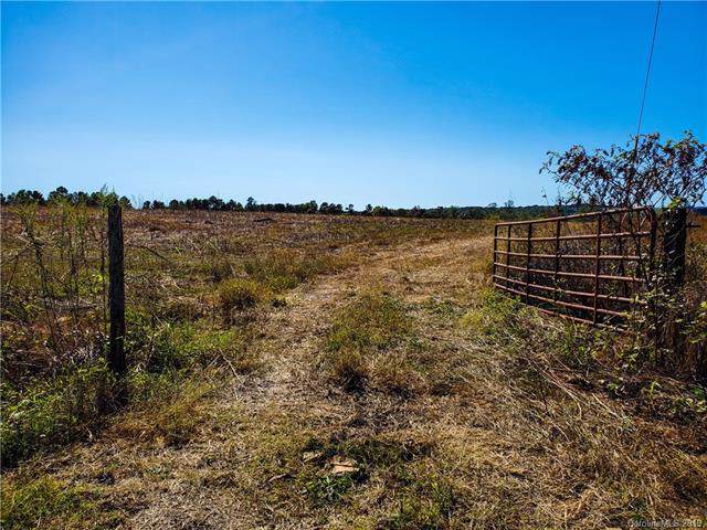 000 Summerow Road - Photo 1
