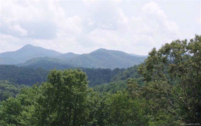 00 Grant Chapman Road - Photo 1