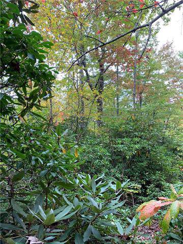 000 Eastatoe Gap Road - Photo 1