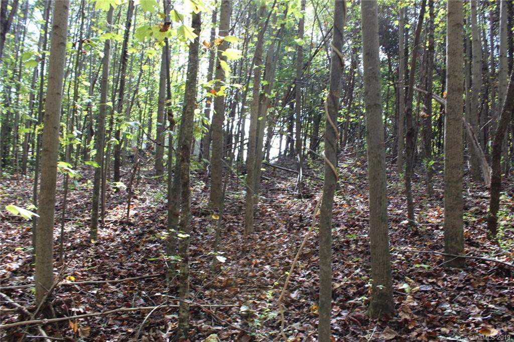 L51 Bowman Road - Photo 1