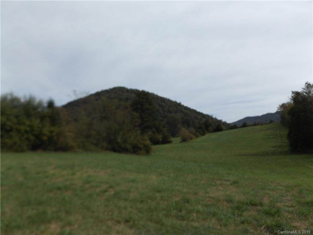 000000 Pisgah Highway - Photo 1