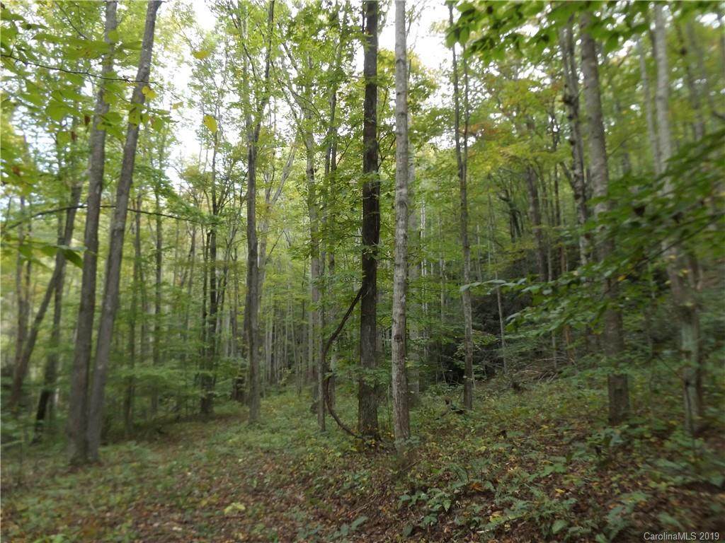 0 Black Oak Cove Road - Photo 1