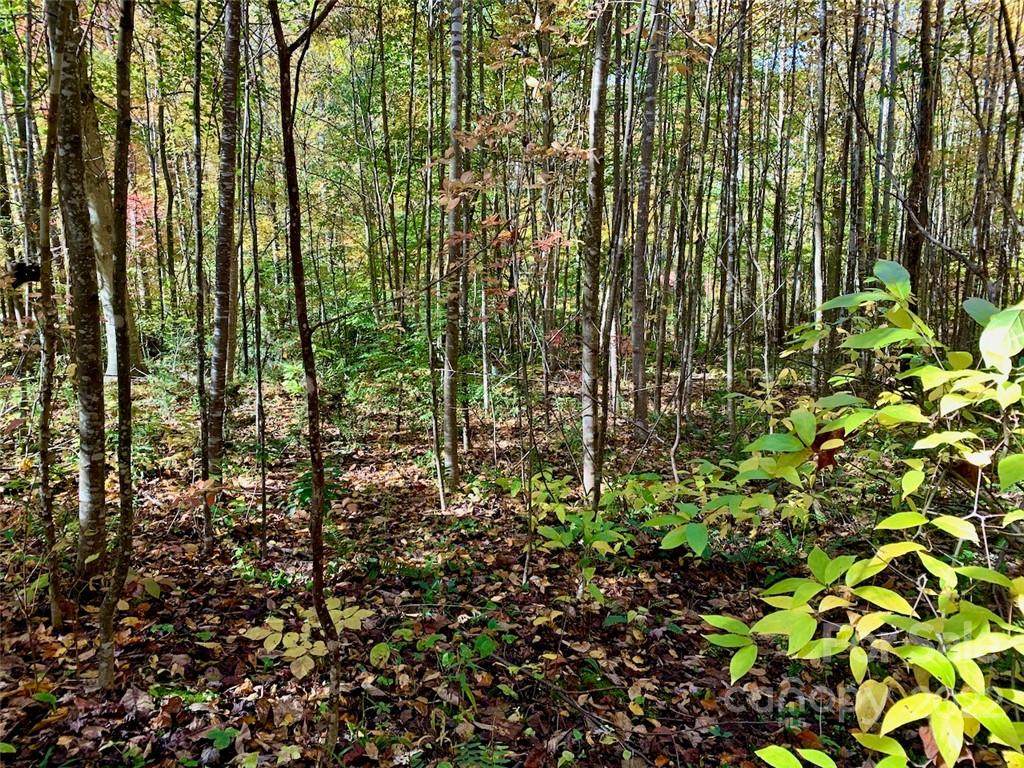 Lot 22 Creekside Drive - Photo 1
