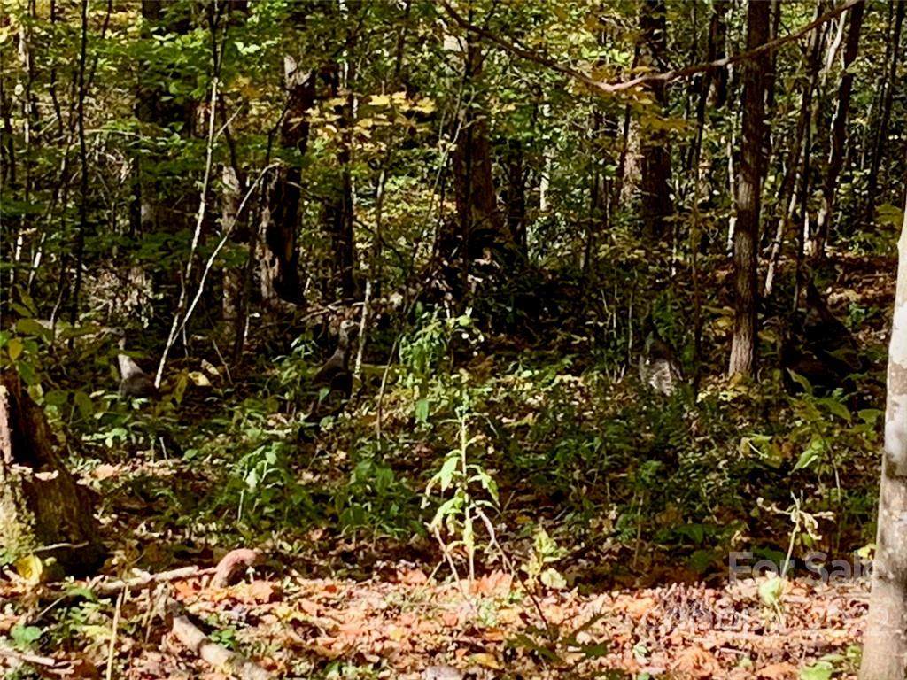 Lot 23 Creekside Drive - Photo 1