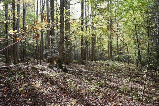 00 Poplar Creek Road - Photo 1