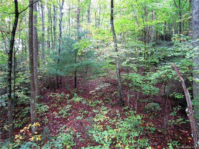 00 Fork Creek Road - Photo 1