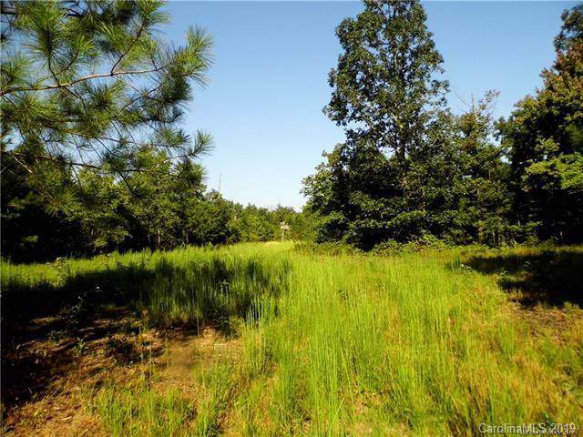 00 Coley Store Road - Photo 1