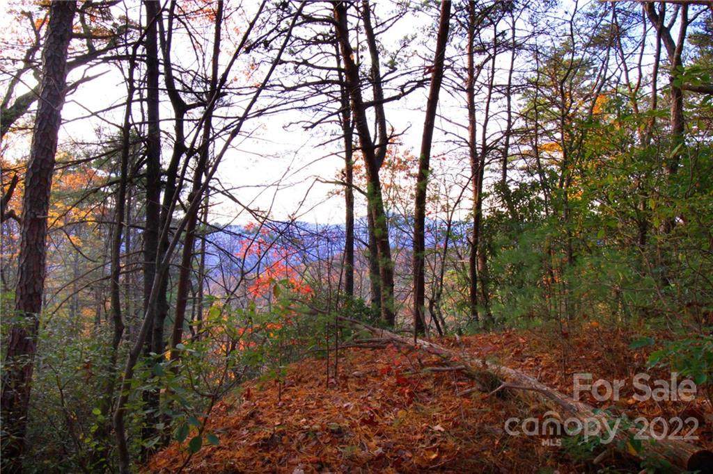 Tract 2 Bear Pen Hollow Road - Photo 1