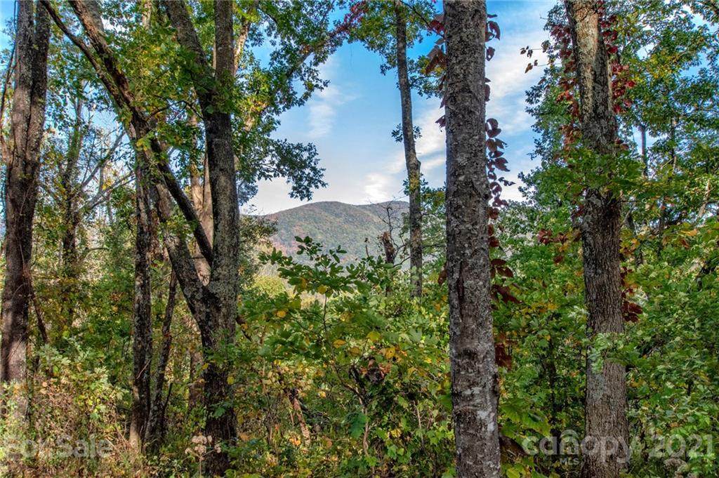 100 Sassafras Gap Road - Photo 1