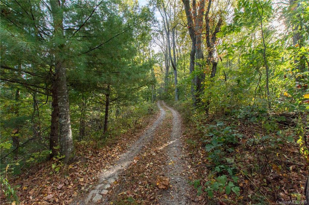 50 Sassafras Gap Road - Photo 1