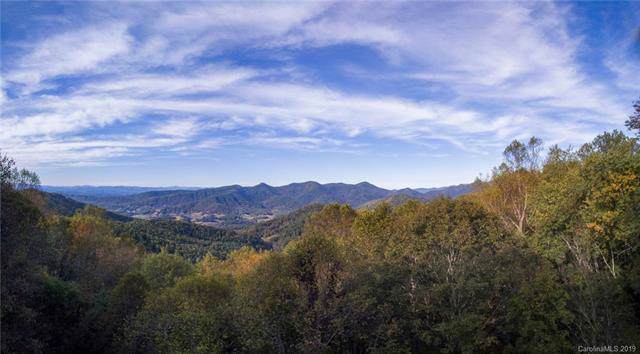 50 Sassafras Gap Road - Photo 1