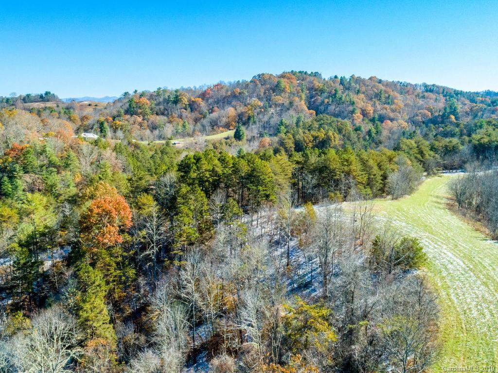 6690 Bear Creek Road - Photo 1
