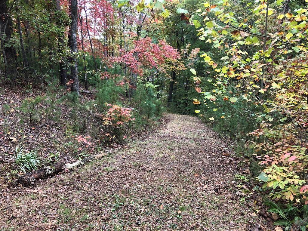 Lot 13 South Pointe Road - Photo 1