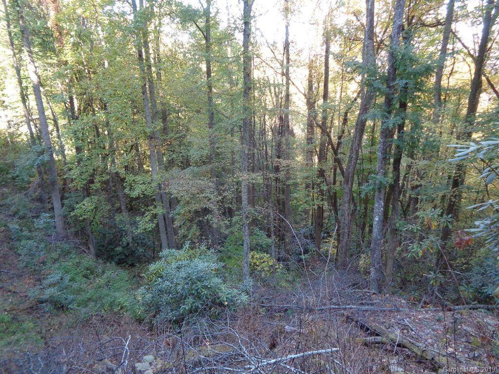17 Connies Cove - Photo 1