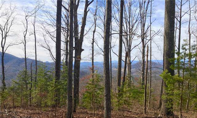 3546 Dogwood Lane - Photo 1