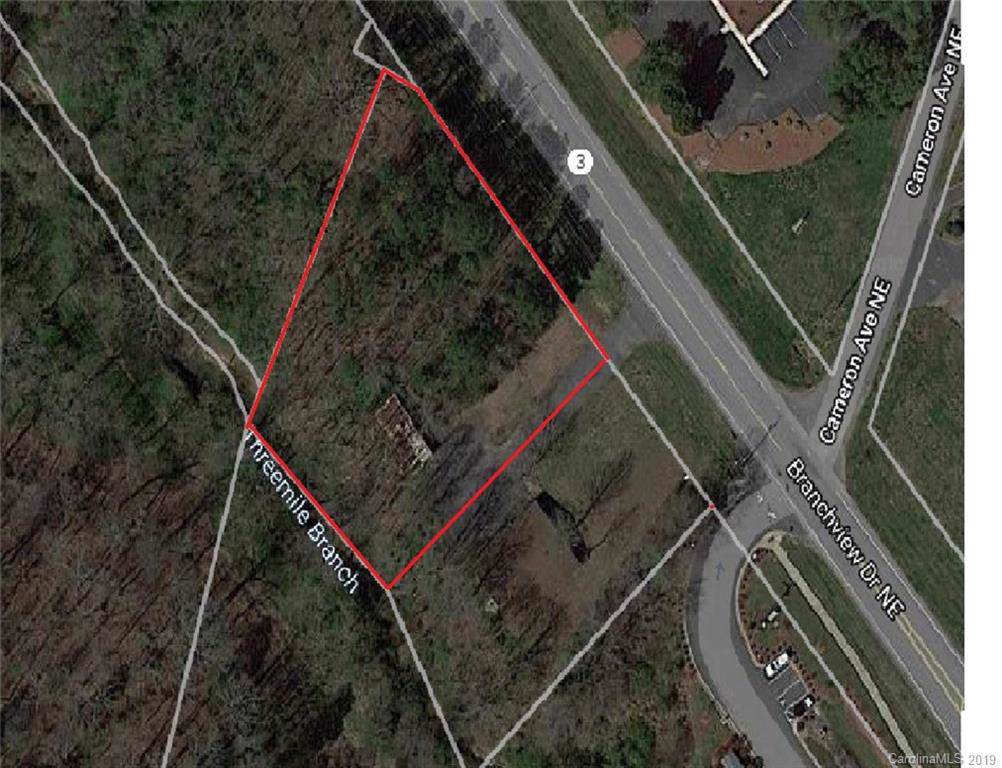 255 Branchview Drive - Photo 1