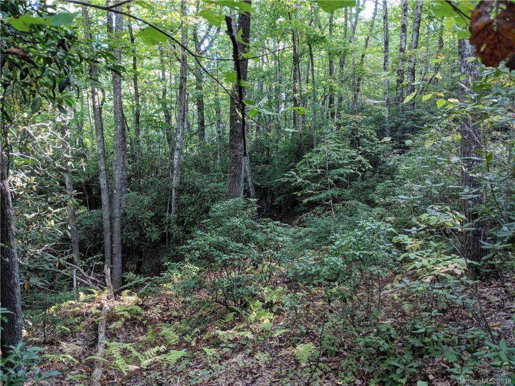 Lot 13 Rolling Ridge Trail - Photo 1