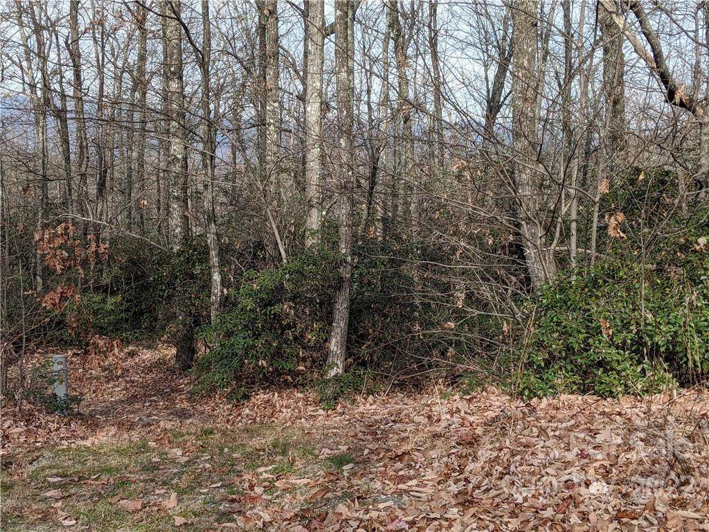 Lot 13 Rolling Ridge Trail - Photo 1
