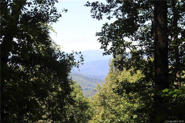 125 Boar Ridge Road - Photo 1
