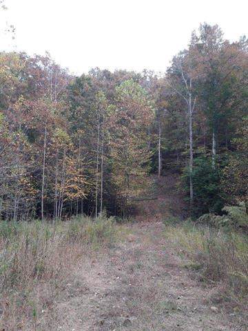 5641 Vein Mountain Road - Photo 1