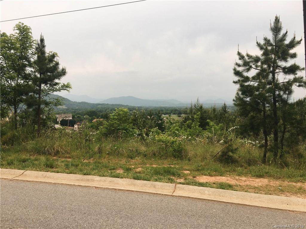 99999 Climbing Aster Way - Photo 1