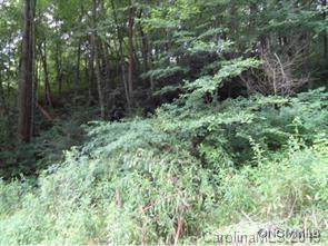 LOT 39 Coyote Hollow Road - Photo 1