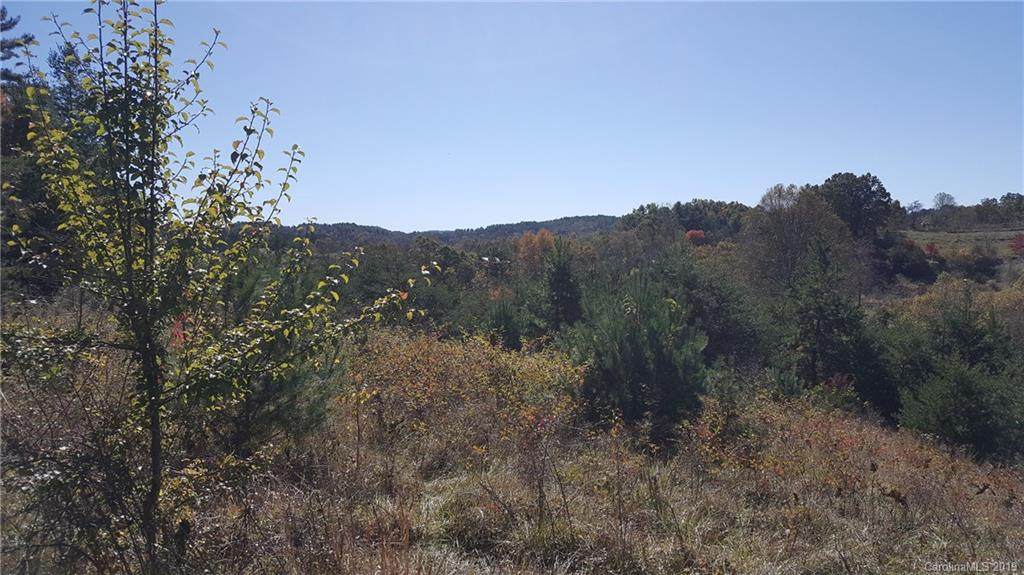 208 Catawba Drive - Photo 1