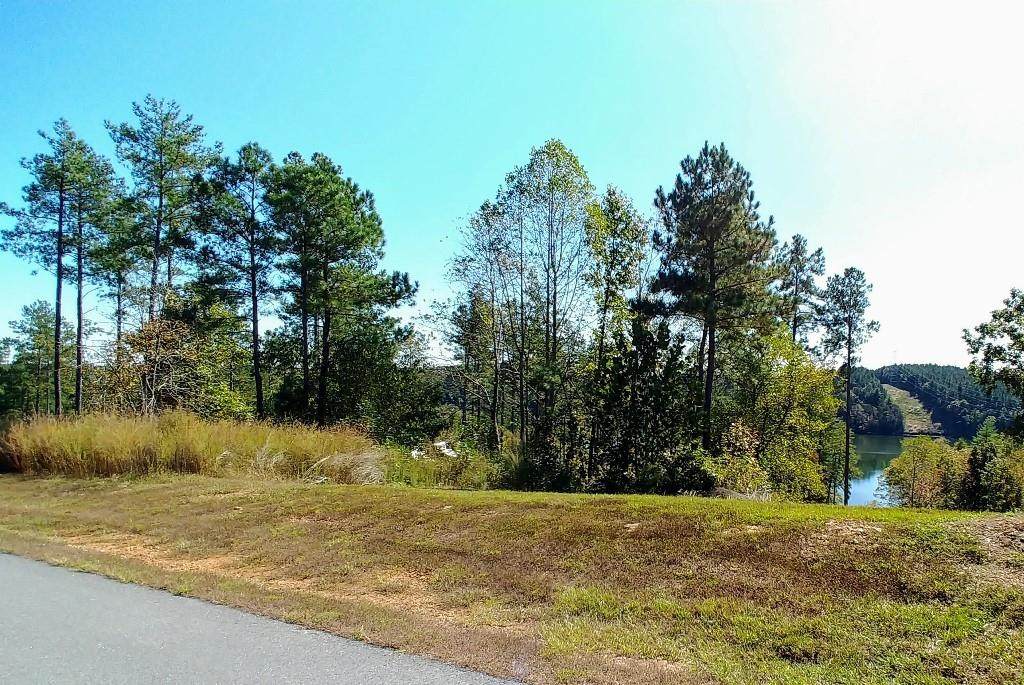 1735 Waters Edge Drive - Photo 1